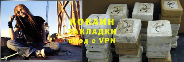 apvp Алексин